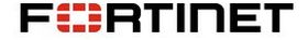 Fortinet - Cairo ICT 2025 sponsor / partner