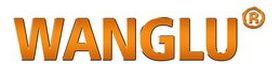 Wanglu - Cairo ICT 2025 sponsor / partner