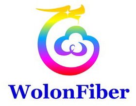WolonFiber - Cairo ICT 2025 sponsor / partner